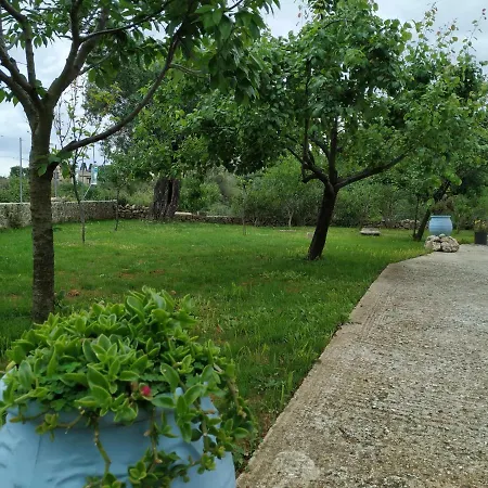 Villa Olga's House *