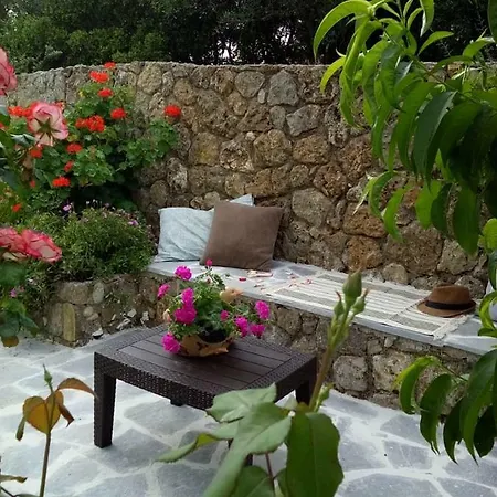Olga's House